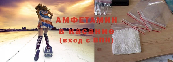 мет Алексин