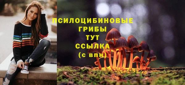 мет Алзамай