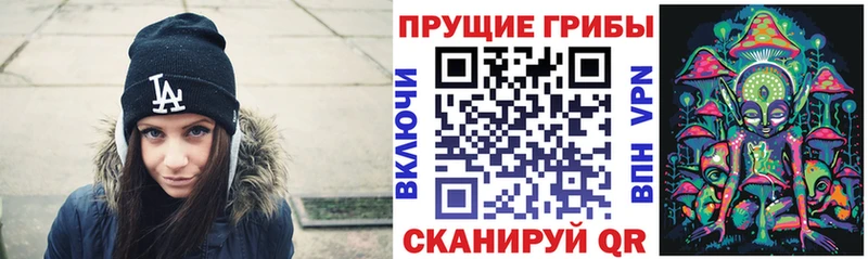 где найти наркотики  shop как зайти  Псилоцибиновые грибы Psilocybine cubensis  Ижевск 